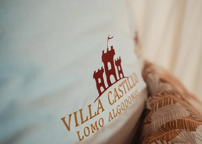 Castillo Lomo Algodones * インヘニオ