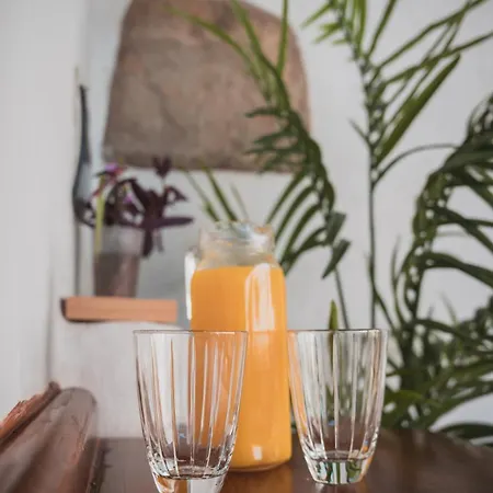 Castillo Lomo Algodones Ingenio